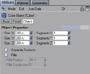   Object  